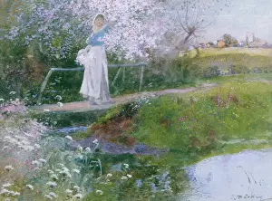 Mackay: Blossom Time ' girl on a bridge