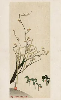 Canes: Blossom Tree with bamboo supports by Ogata Korin