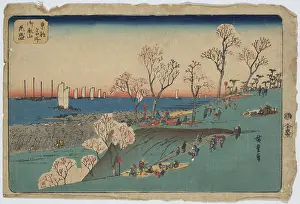 Offshore: Blossoms at Gotenyama