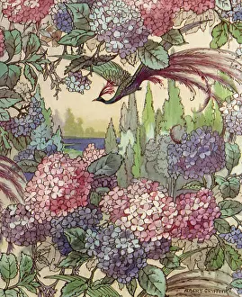 Nestle: Blossoms and Peacock