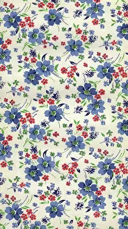 Scattered: Blossoms, Thin Stems