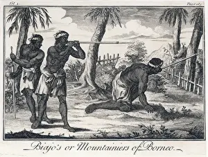 Mountaineers: BLOWPIPE BORNEO 18C