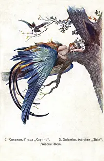 Solomko: Blue Bird (Bird Sirin) - Sergey Solomko