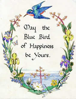 Epigram: Blue Bird Epigram