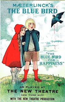 Maeterlinck: The Blue Bird for Happiness by M. Maeterlinck