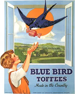 Upward: Blue Bird Toffees - Made in the Country - Advertisement