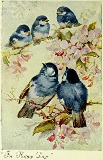 Bluebirds: Five blue birds