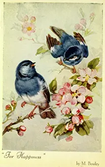 Bowley: Two blue birds and pink blossom