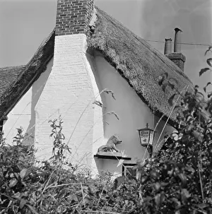 Winterbourne: Blue Boar Inn