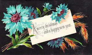 Cornflower: Blue cornflowers on a Christmas card