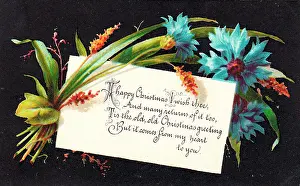 Cornflower: Blue cornflowers on a Christmas card