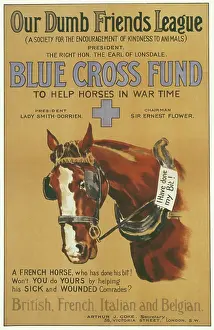 Dumb: BLUE CROSS FUND POSTER