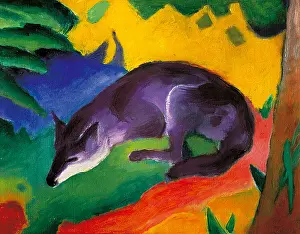 Blaue: Blue Fox