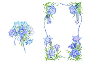Double Sided: Blue Gentians border design