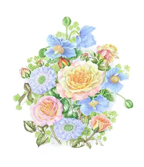 Rambler: Blue Himalayan Poppies and Roses