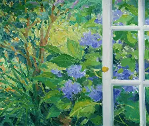 Hydrangeas: Blue Hydrangeas and Open Door