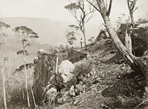 Gazebos: In the Blue Mountains