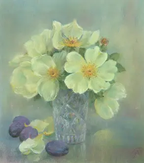 Plums: Blue Plums and Yellow Roses