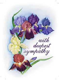 Sympathy: Blue, purple and yellow irises