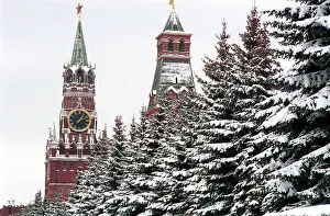 Spruces: Blue spruces by Moscow Kremlin Wall, 1997