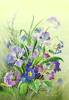 Primula: Blue study with assorted flowers
