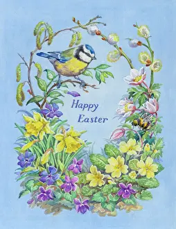 Bumble: Blue tit and bumble bee with spring flowers