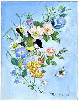 Periwinkle: Blue tit on a bunch of wild flowers