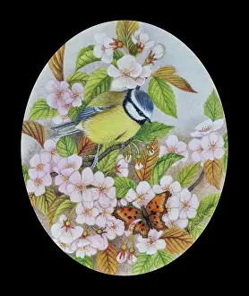 Rogerson: Blue Tit and Common Butterfly on Blossom