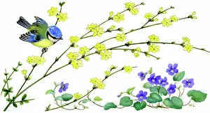 Lynes: Blue tit on jessamine branch, with violets