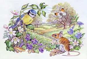 Periwinkle: Blue Tit, Mouse and Orange-tip Butterfly