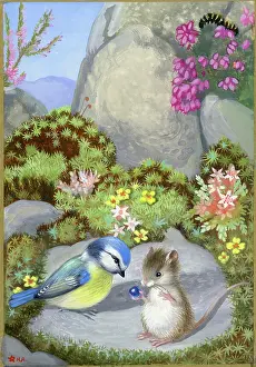 Heda: Blue tit and mouse on rocks