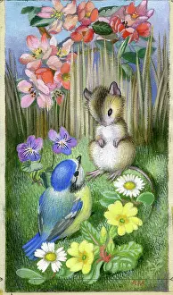 Heda: Blue tit and mouse amongst spring flowers