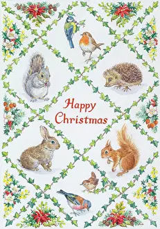 Hedgehog: Blue tit, robin, hedgehog, red squirrel, wren etc