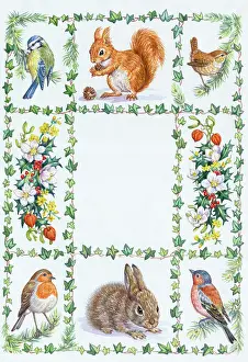 Sprays: Blue tit, squirrel, wren, robin, rabbit etc
