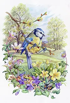 Bumble: Blue tit with windflowers, violets, primroses