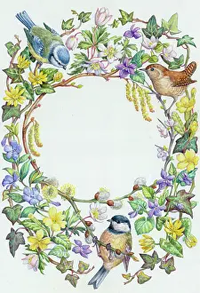 Catkins: Blue tit, wren and coal tit with spring flowers