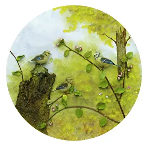 Hervey: Blue Tit and Young