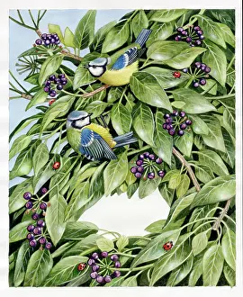 Binns: Two Blue Tits