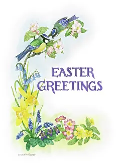 Primulas: Blue Tits on Apple Blossom with spring flowers