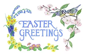 Primulas: Blue Tits, apple blossom and spring flowers