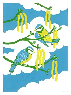 Catkins: Two Blue Tits on branches with catkins