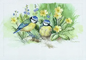 Margery: Blue Tits with Primroses and Speedwell