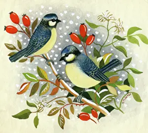 Tits: Two Blue Tits on a rose bough