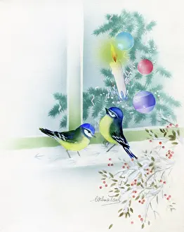 Schermele: Blue Tits on window sill and Christmas tree
