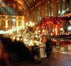 Musculus: The Blue Whale Annual Fundraising Ball