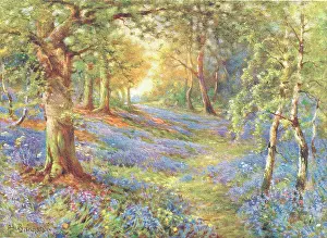 Breanski: Bluebell Wood
