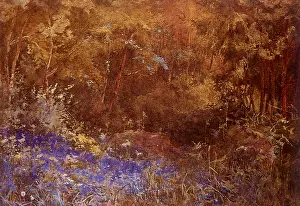 Keane: The Bluebell Wood
