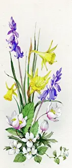Windflowers: Bluebells, daffodils, etc