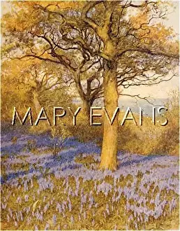 Scripta: BLUEBELLS IN KENT