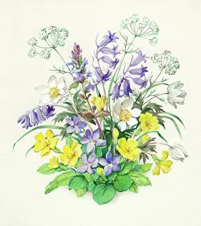 Primroses: Bluebells, primroses, windflowers